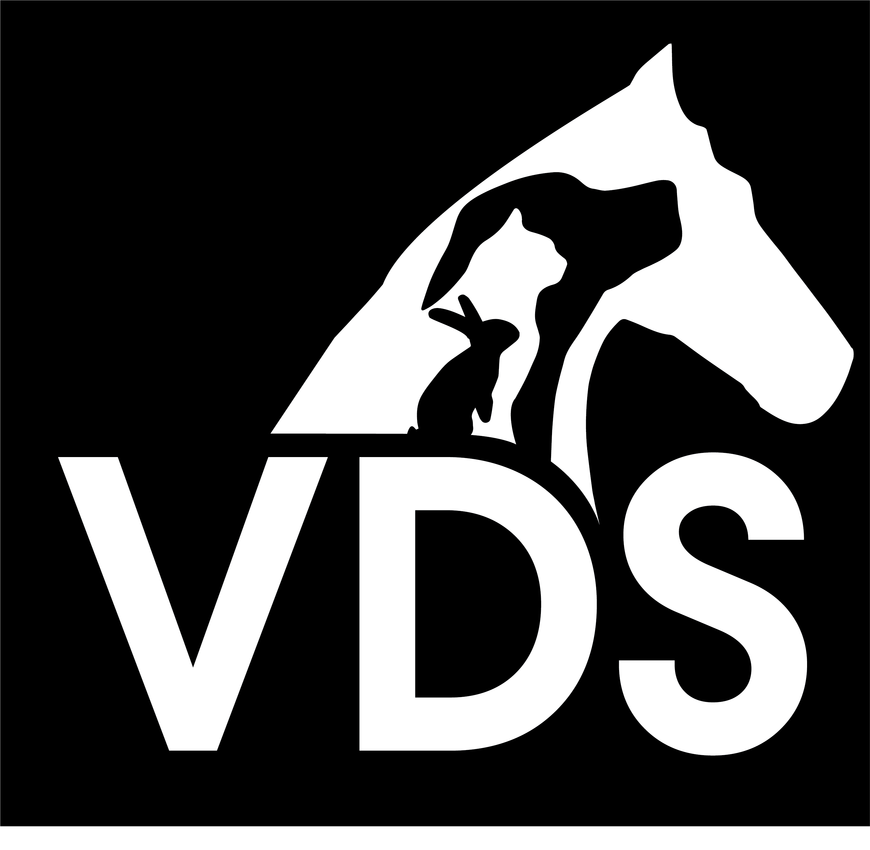 Veterinary Dental Supplies Logo